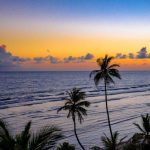 pexels-photo-3426870